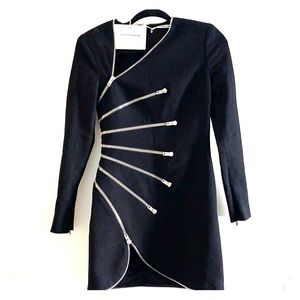 NWT Alexander Wang Long Sleeve Sunburst Zip Dress